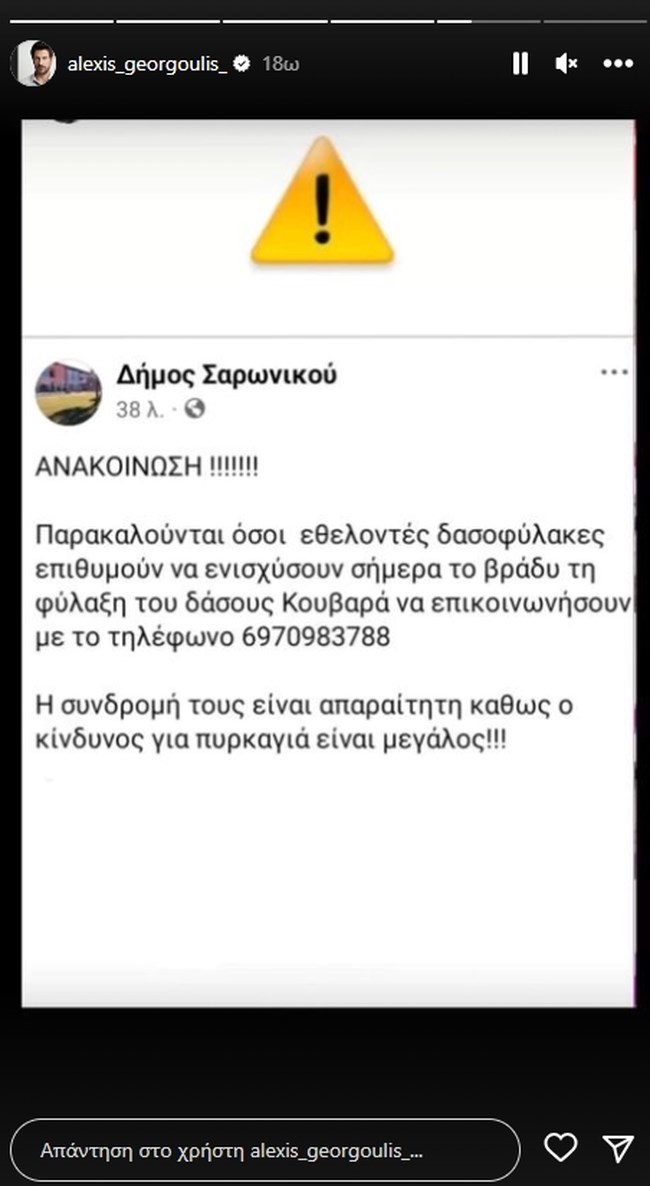 Αλέξης Γεωργούλης