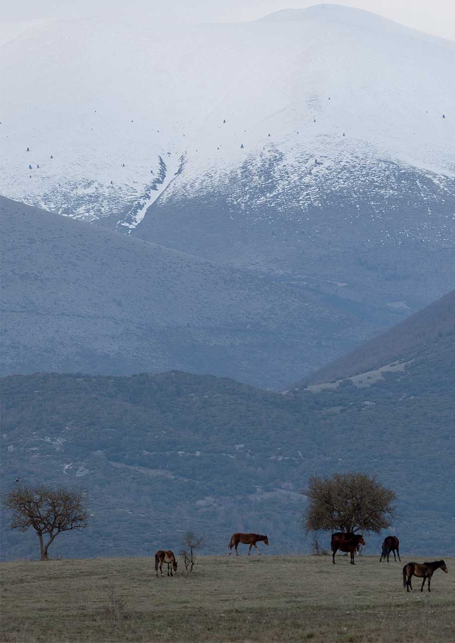 Μονοπάτι 02: Ολη η προσωπικότητα της Θεσσαλίας σε μία διαδρομή 175 χλμ-8