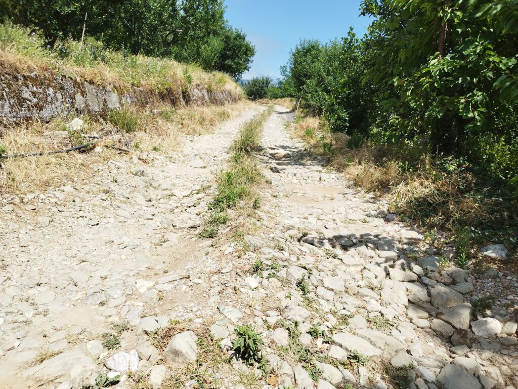 Λύση για τη “διαλυμένη η αγροτική οδοποιία στο δήμο Ζαγοράς – Μουρεσίου” ζητούν οι παραγωγοί